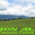 Action Alert Support Organic Hawaii farms