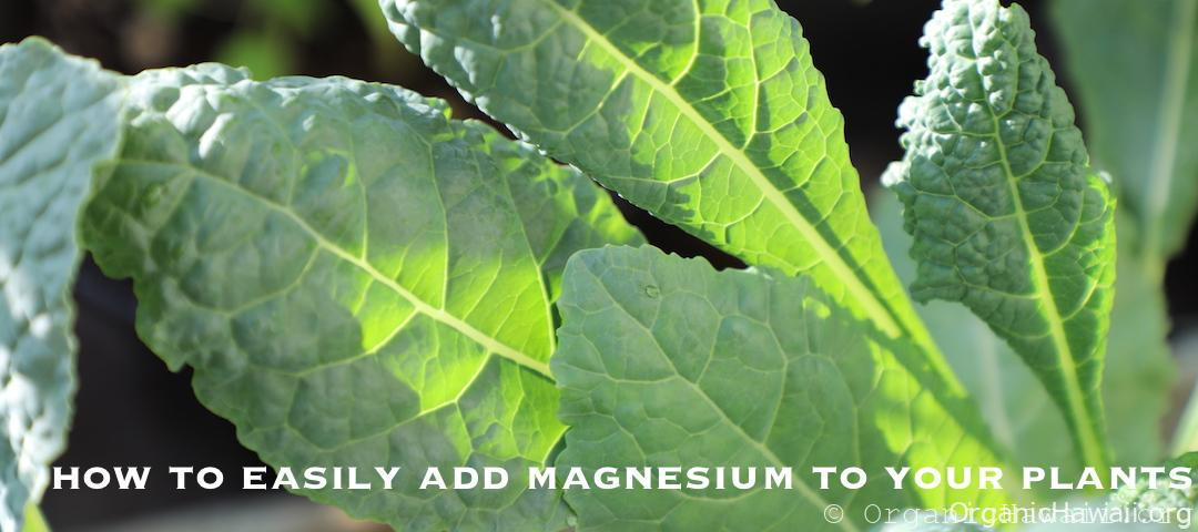 can i use magnesium tablets for plants