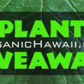 Organic Plant Giveaway contest